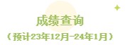 初中級(jí)經(jīng)濟(jì)師成績查詢