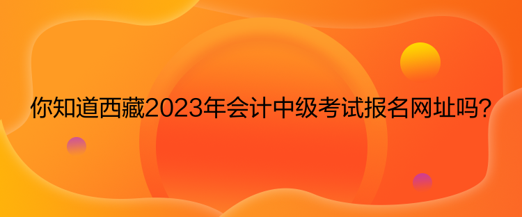 你知道西藏2023年會(huì)計(jì)中級(jí)考試報(bào)名網(wǎng)址嗎？