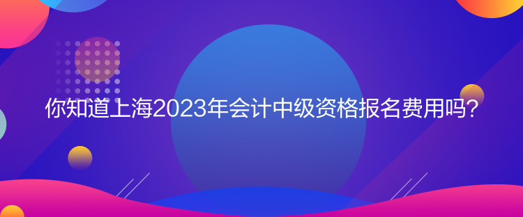 你知道上海2023年會計中級資格報名費用嗎？
