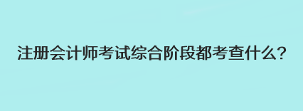 注冊(cè)會(huì)計(jì)師考試綜合階段都考查什么？