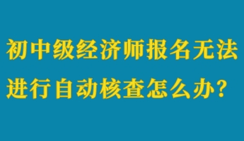 初中級(jí)經(jīng)濟(jì)師報(bào)名無(wú)法進(jìn)行自動(dòng)核查怎么辦？