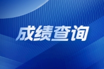 國際注冊內(nèi)部審計師查分入口是什么？