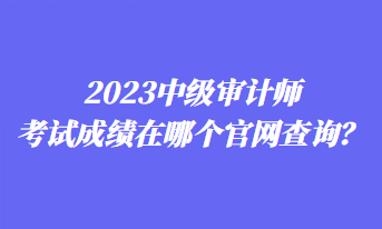 2023中級審計師考試成績在哪個官網(wǎng)查詢？