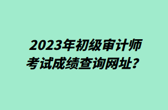 2023年初級(jí)審計(jì)師考試成績(jī)查詢網(wǎng)址？