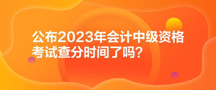 公布2023年會(huì)計(jì)中級(jí)資格考試查分時(shí)間了嗎？
