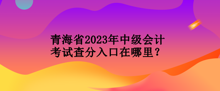 青海省2023年中級(jí)會(huì)計(jì)考試查分入口在哪里？