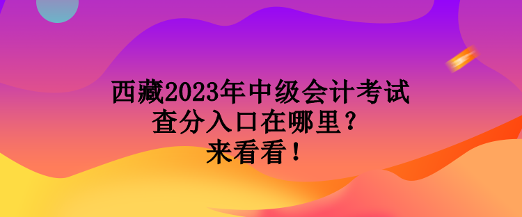 西藏2023年中級會計考試查分入口在哪里？來看看！