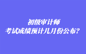 初級(jí)審計(jì)師考試成績(jī)預(yù)計(jì)幾月份公布？