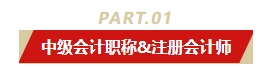 中級(jí)會(huì)計(jì)職稱和哪個(gè)證書同時(shí)備考最適配？多證在手 多種選擇！