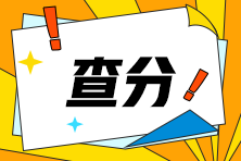 河南省2024年注會查分入口開啦！快來查分！