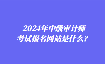 2024年中級(jí)審計(jì)師考試報(bào)名網(wǎng)站是什么？