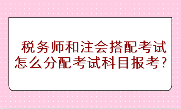 稅務師和注會搭配考試怎么分配考試科目進行報考？
