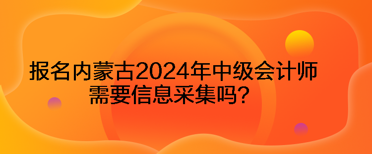 報(bào)名內(nèi)蒙古2024年中級(jí)會(huì)計(jì)師需要信息采集嗎？