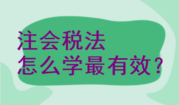 注會稅法怎么學(xué)最有效？