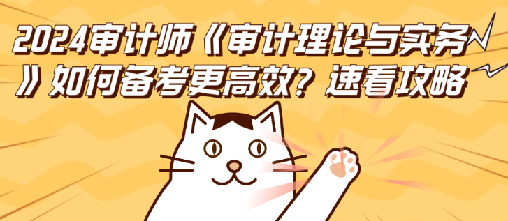 2024審計師《審計理論與實務(wù)》如何備考更高效？速看攻略！