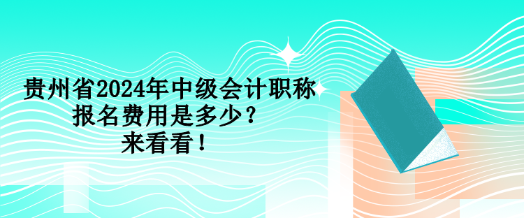 貴州省2024年中級會計職稱報名費用是多少？來看看！