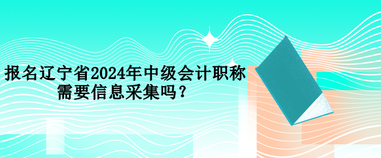 報(bào)名遼寧省2024年中級(jí)會(huì)計(jì)職稱需要信息采集嗎？