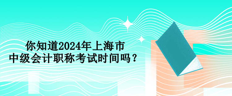 你知道2024年上海市中級(jí)會(huì)計(jì)職稱考試時(shí)間嗎？