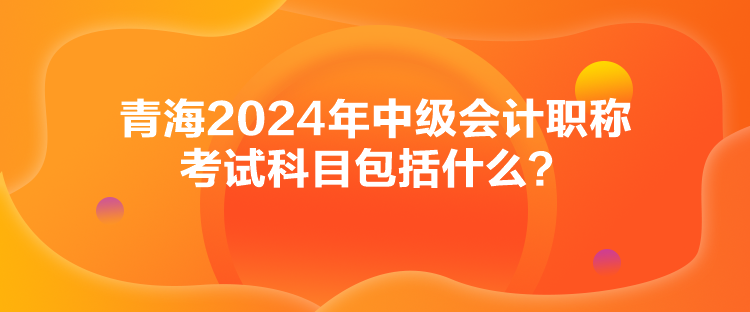 青海2024年中級(jí)會(huì)計(jì)職稱(chēng)考試科目包括什么？