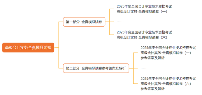 2025年高級(jí)會(huì)計(jì)師全真模擬試卷輔導(dǎo)書全新詳解