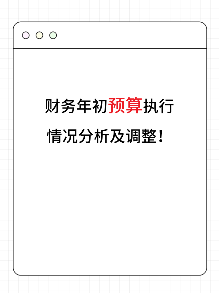 財務(wù)年初預(yù)算執(zhí)行情況分析及調(diào)整！