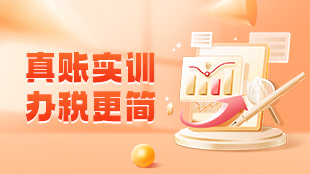 真賬實訓，辦稅更簡